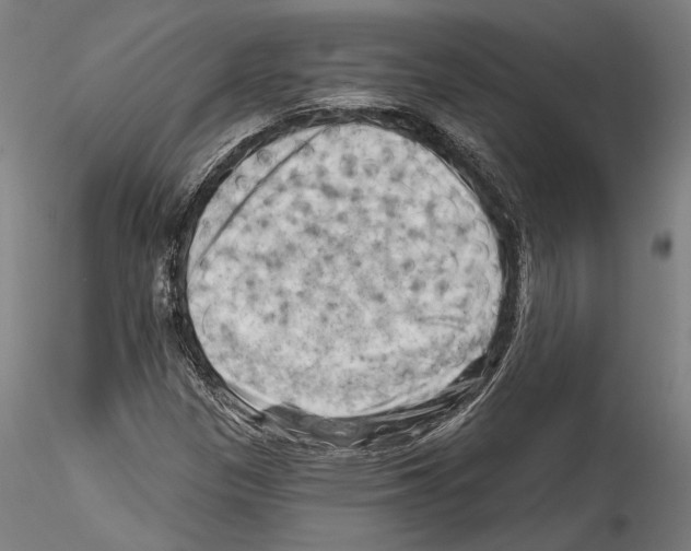 X0000114531305200911301129