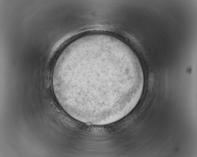 X0000114531310200911301129