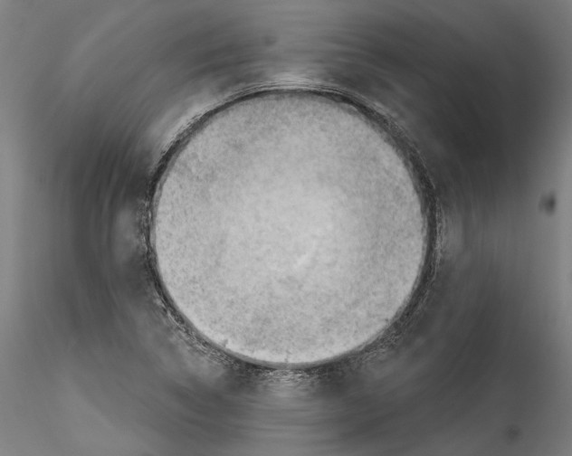 X0000114531314200911301129