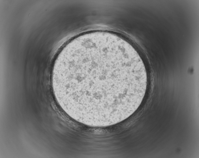 X0000114531318200911301130