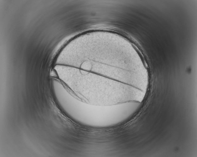 X0000114531323200911301130