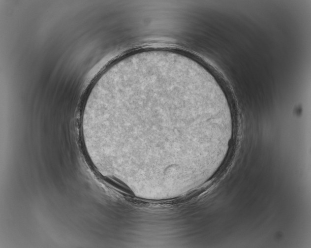 X0000114531325200911301130