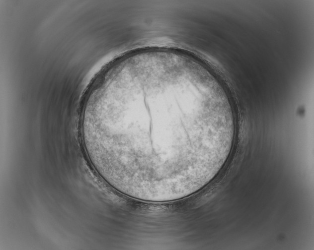 X0000114531326200911301130