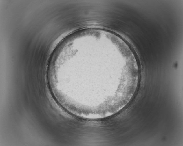 X0000114531333200911301130