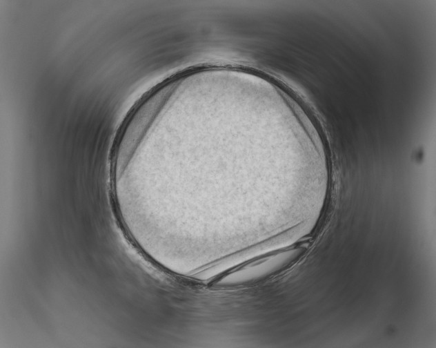 X0000114531335200911301130