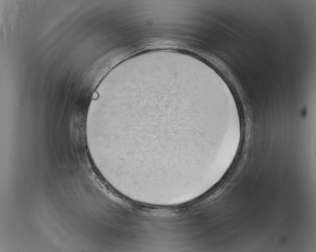 X0000114531337200911301130