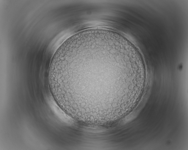 X0000114531338200911301130