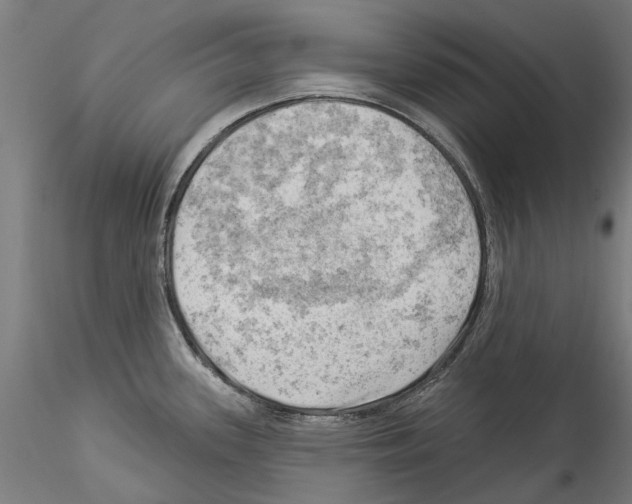 X0000114531339200911301130