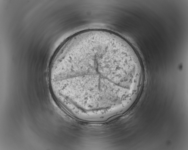 X0000114531342200911301130