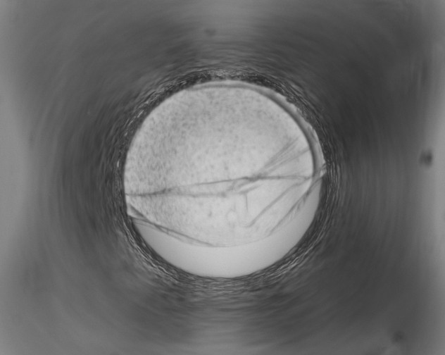 X0000114531345200911301129