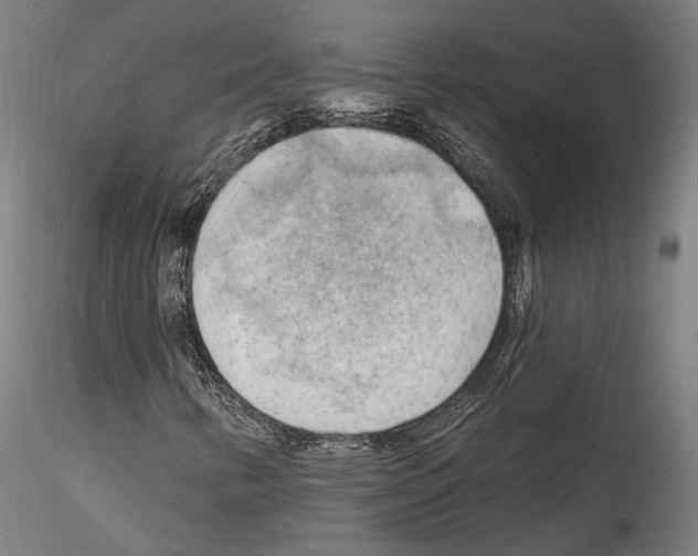 X0000114531346200911301129