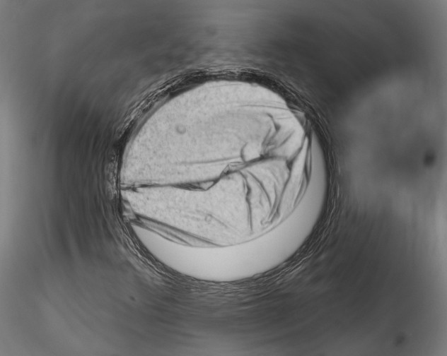 X0000114531348200911301129