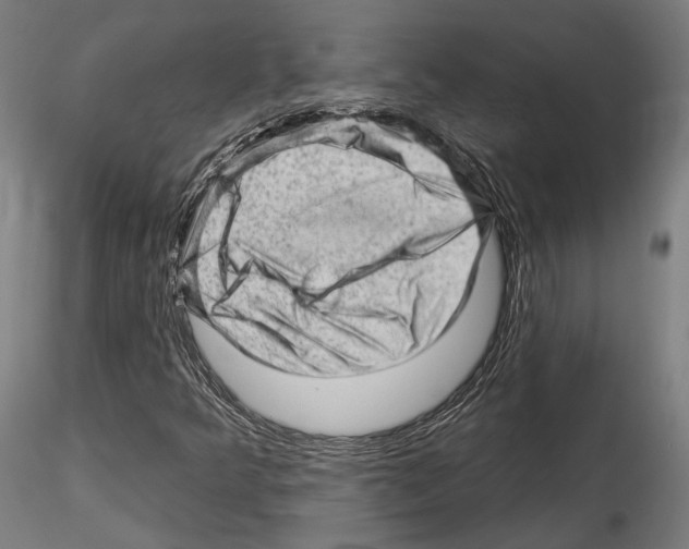 X0000114531349200911301129