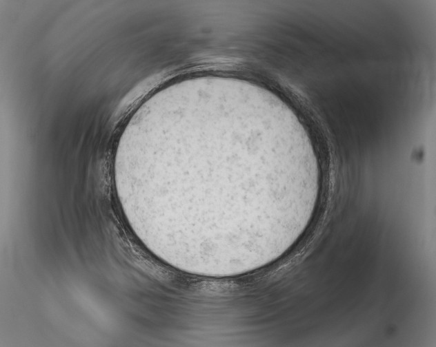 X0000114531354200911301129