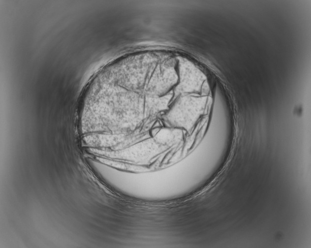 X0000114531357200911301129