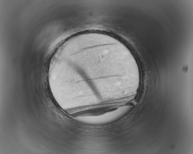 X0000114531359200911301129