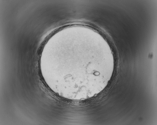 X0000114531360200911301129