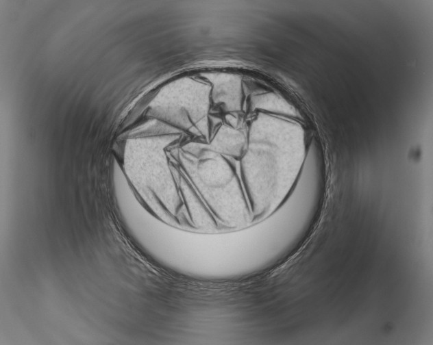 X0000114531361200911301129