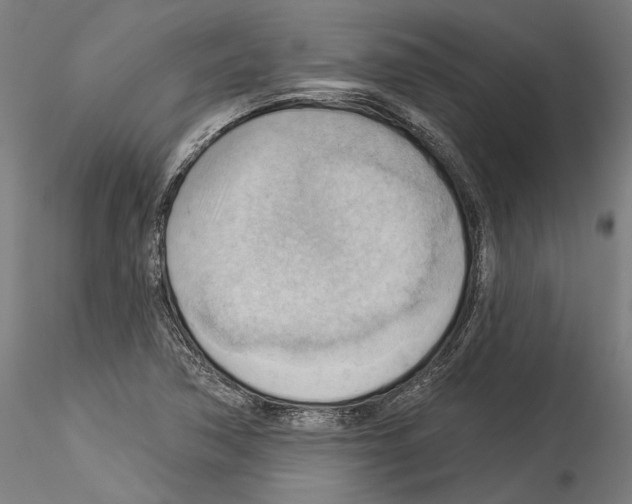 X0000114531362200911301129