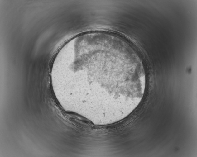 X0000114531363200911301129