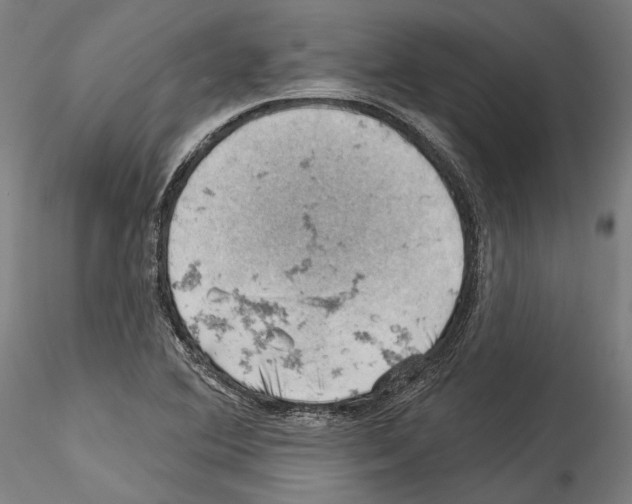 X0000114531364200911301129