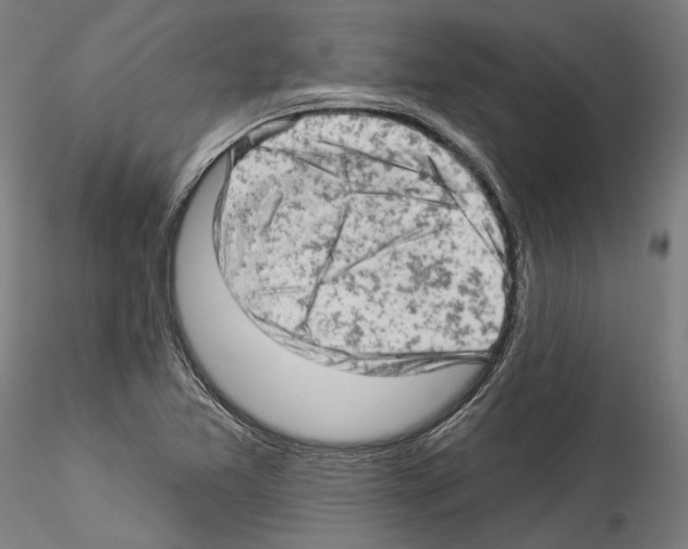 X0000114531365200911301129