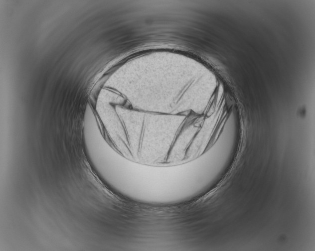 X0000114531369200911301129