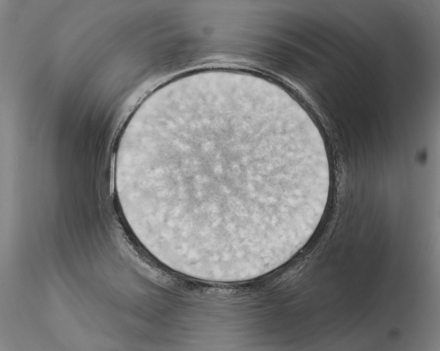 X0000114531371200911301129