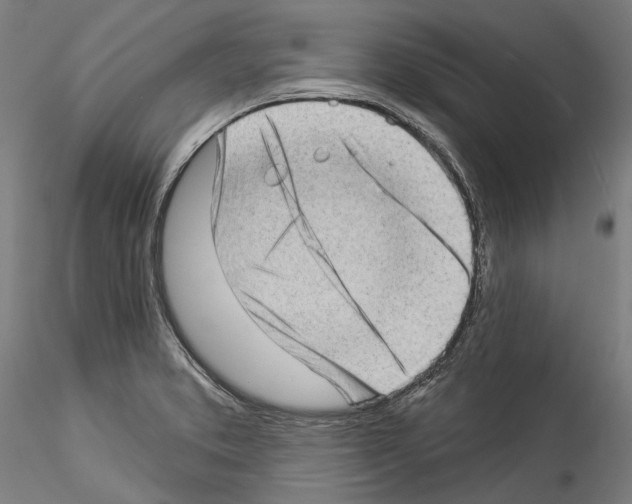 X0000114531373200911301129