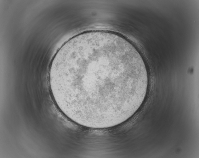 X0000114531374200911301129