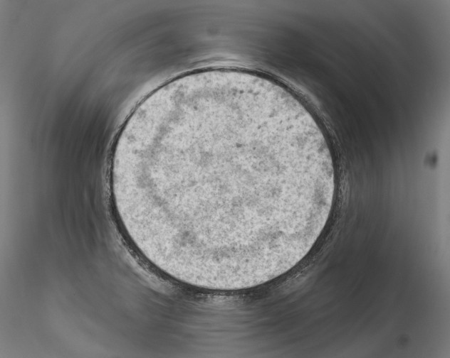 X0000114531375200911301129