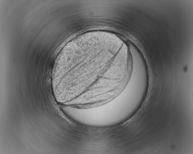 X0000114531377200911301129