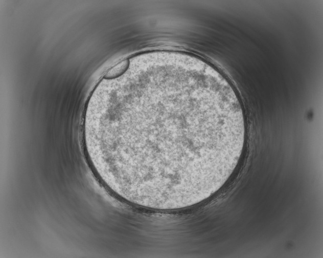 X0000114531379200911301129