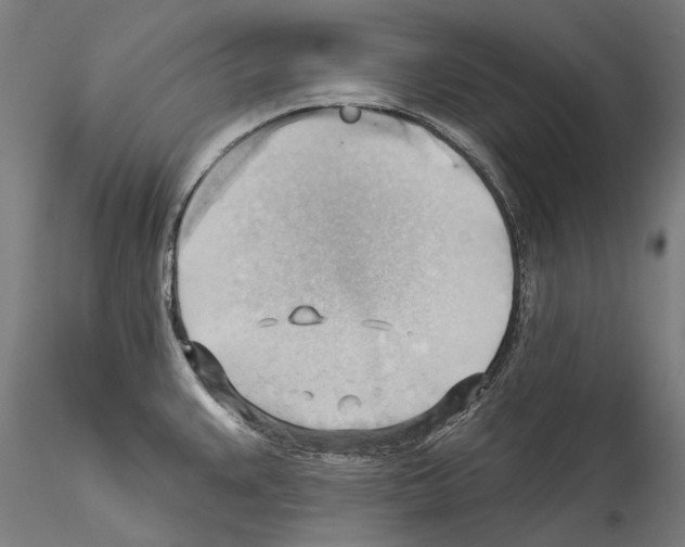 X0000114531383200911301129