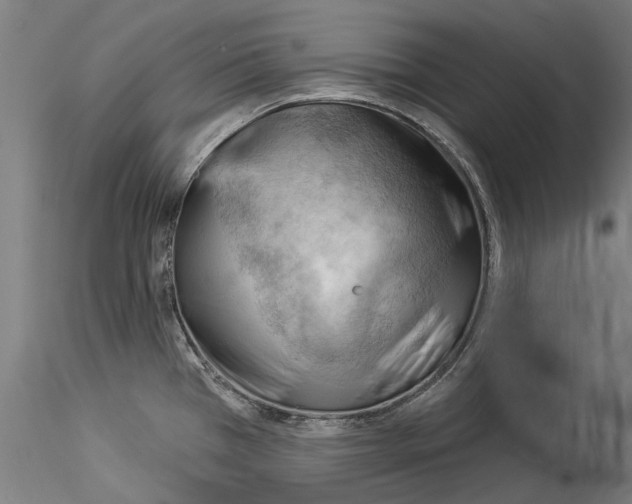 X0000114531385200911301129