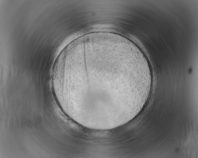 X0000114531386200911301129