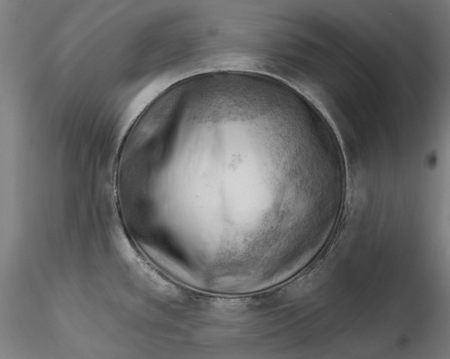 X0000114531389200911301129