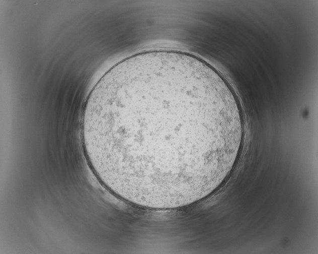 X0000114531390200911301129