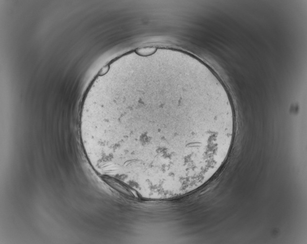 X0000114531392200911301129