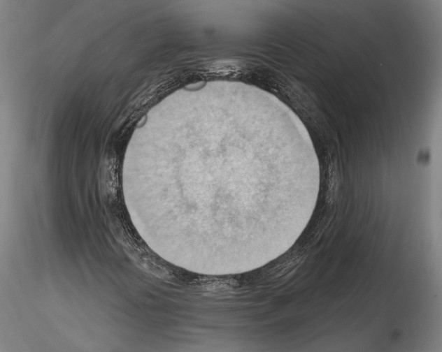 X0000114531394200911301128