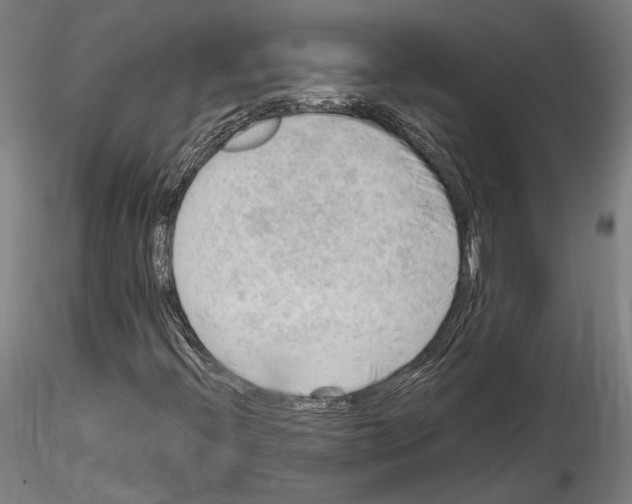 X0000114531396200911301128