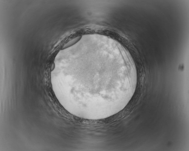 X0000114531397200911301128