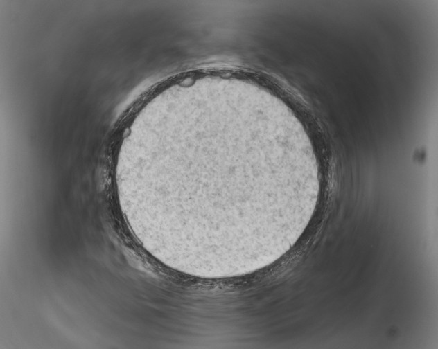 X0000114531400200911301128