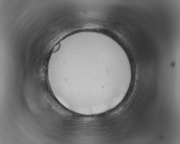 X0000114531401200911301128