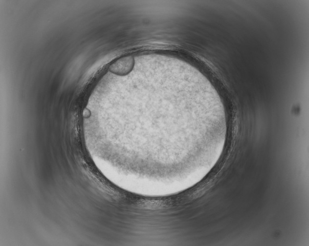 X0000114531402200911301128