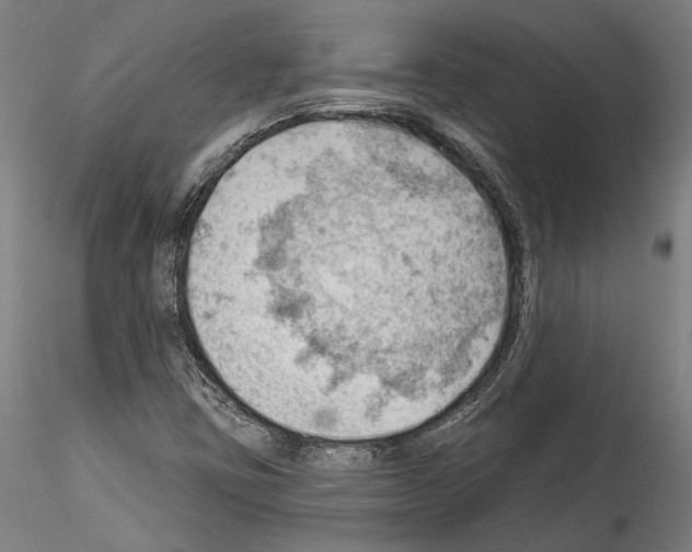 X0000114531403200911301128