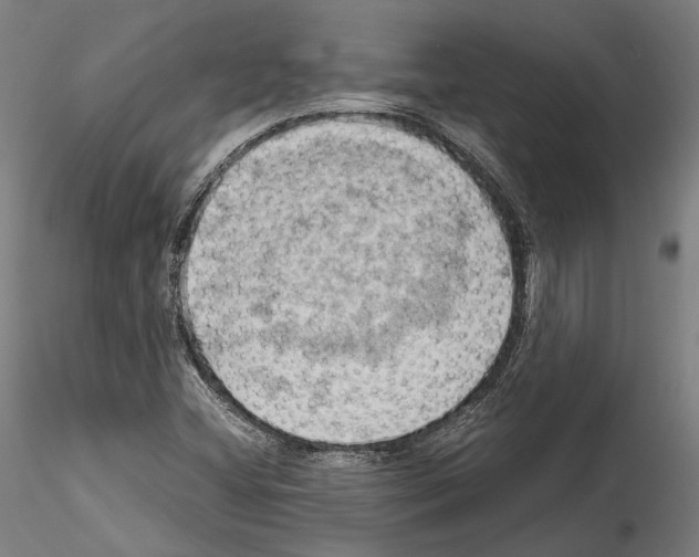 X0000114531404200911301128