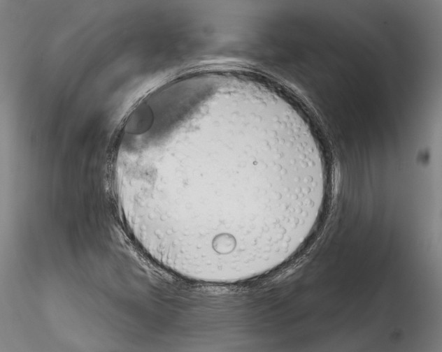 X0000114531405200911301128