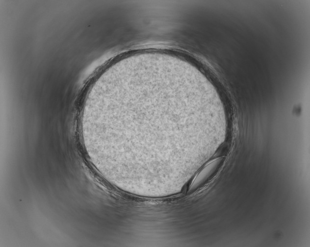 X0000114531406200911301128