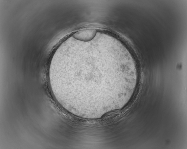 X0000114531407200911301128